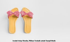 Sendal Selop